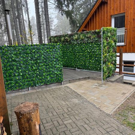 弗林布尔克Lipno Club别墅 外观 照片
